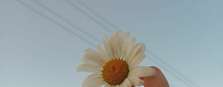 ягодка