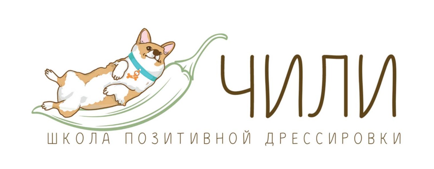 Школа позитивной дрессировки Чили