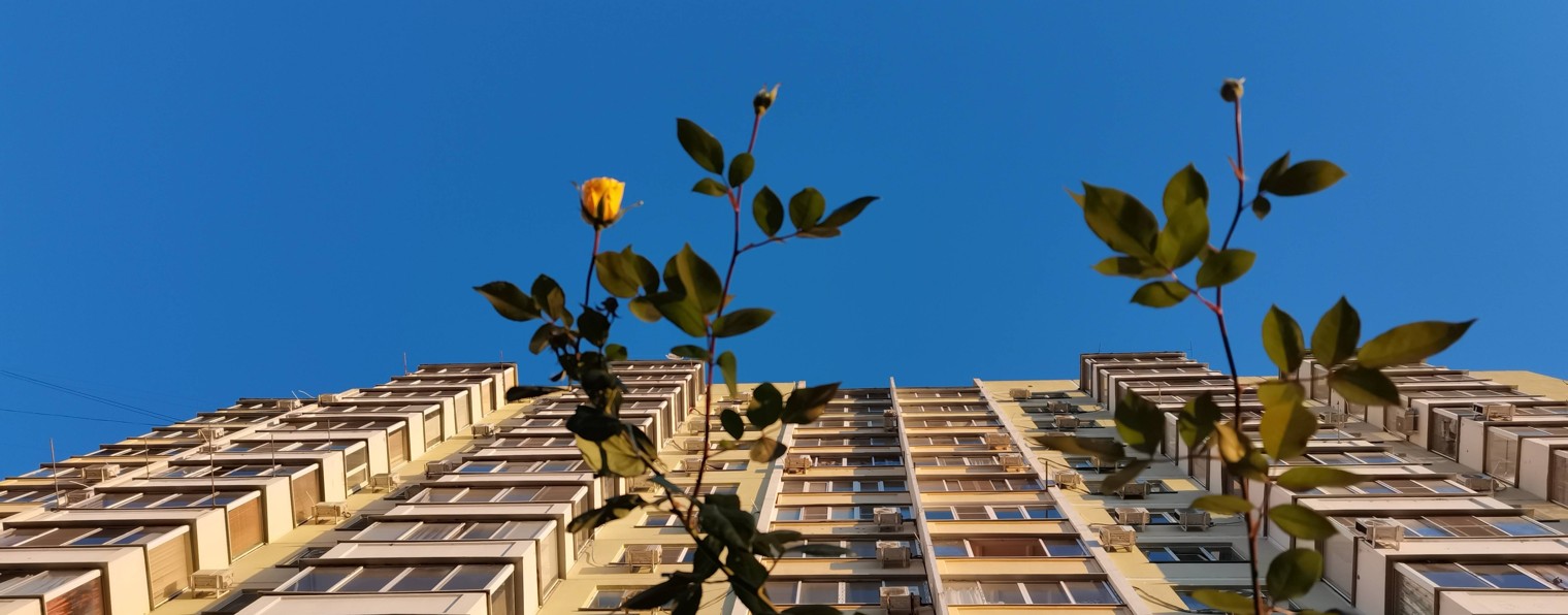 ВалентинаСтудия