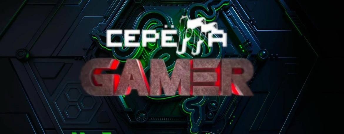 Серёга геймер