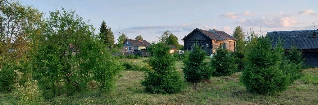 Рождённый в СССР