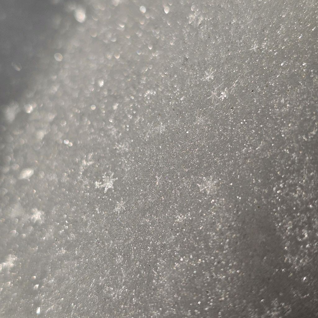 Светлана Сташок🕊