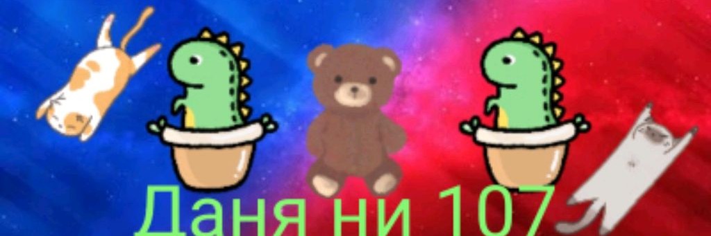 Даня Ни 107