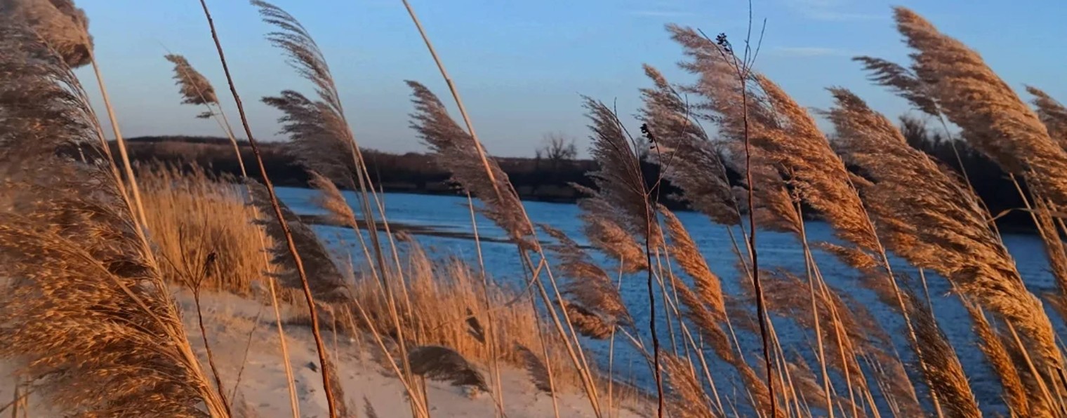 Екатерина Джилл 🎧 мои песни