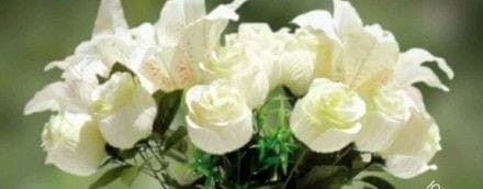 Все с чистого листа