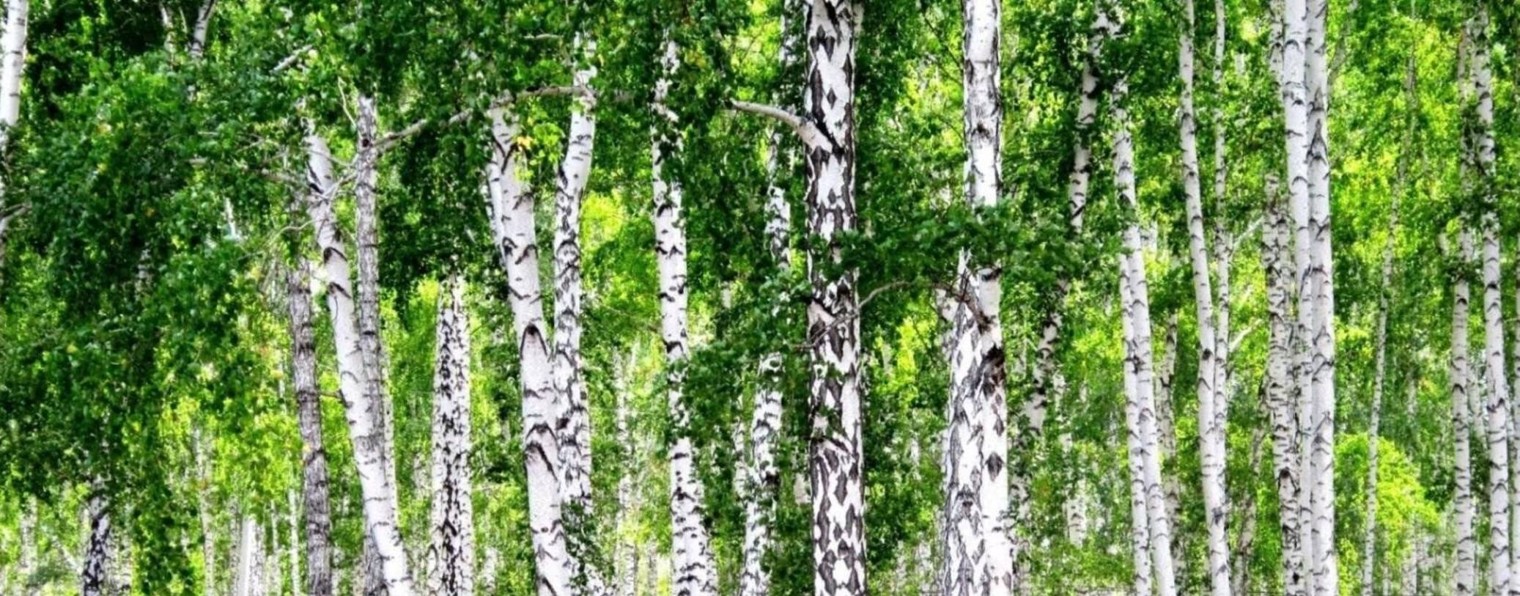 Рукоделье от безделья
