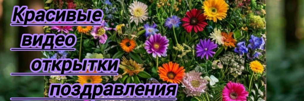 Поздравь!
