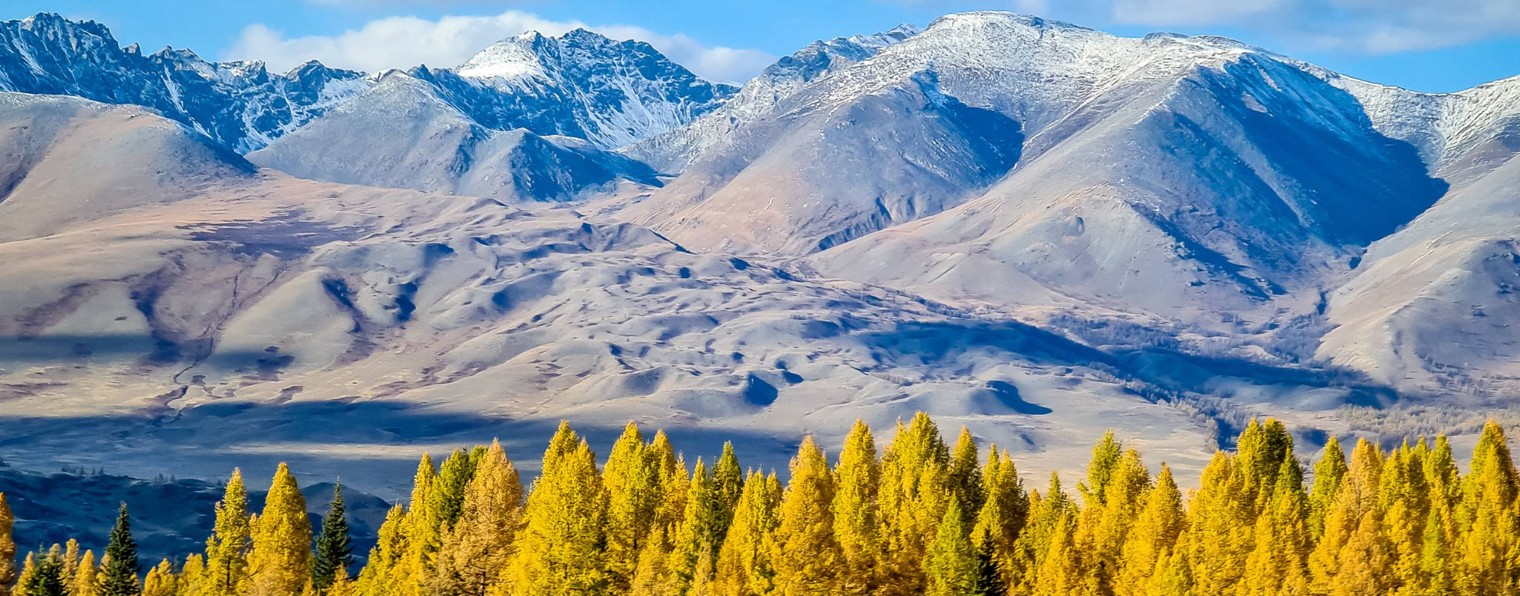 Манул Трэвел