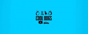 COOL DOGS