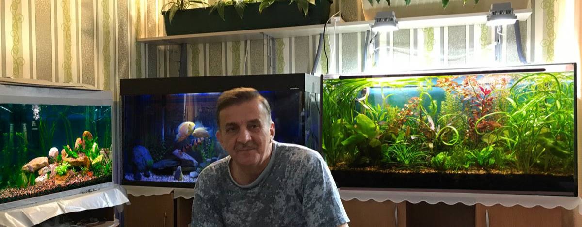 Аквариум, Аквариумистика, Биобаланс.