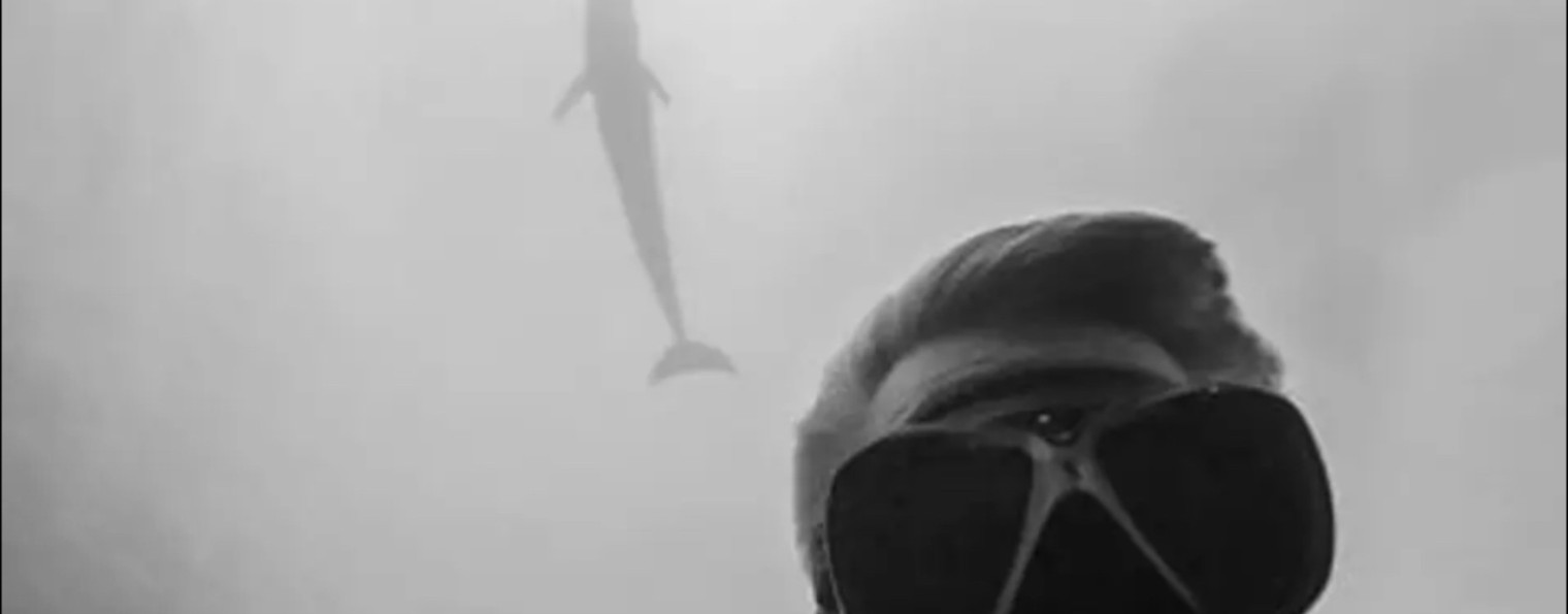 MYDIVING