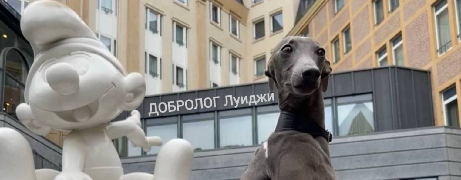 Твой друг Луиджи
