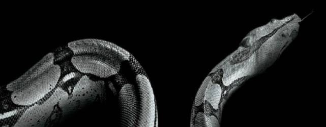 Евгений Никитин. Красноярск