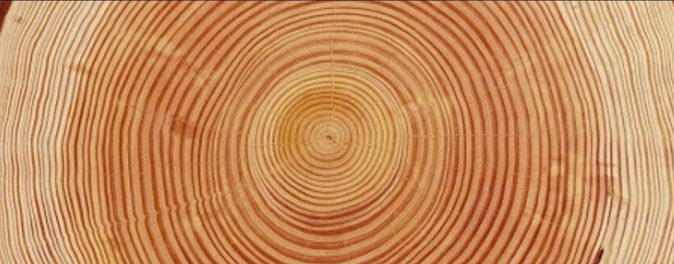 Академия Германише Хайлькунде®