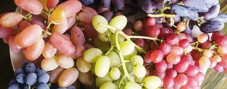 Славамир Виноград Гродно