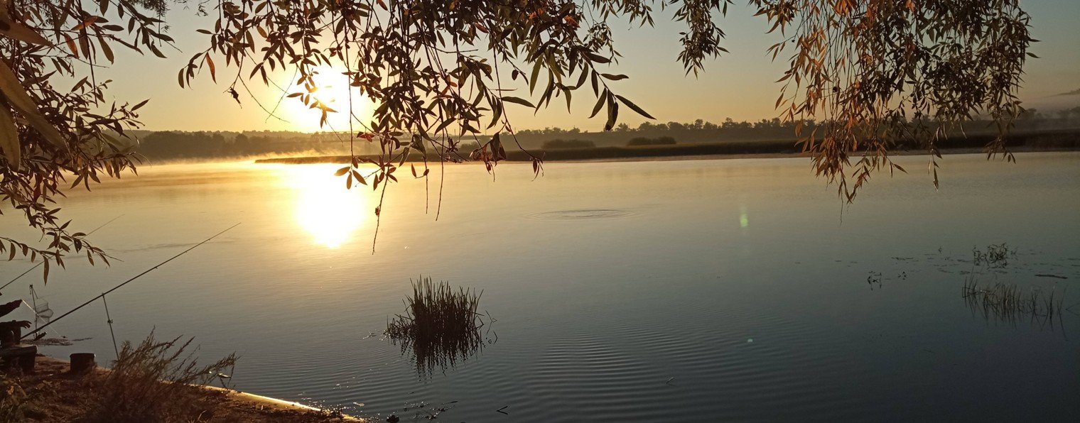 Олег Андриенко