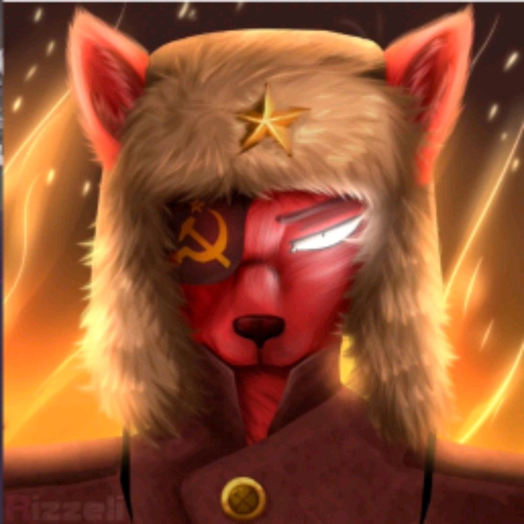 Foxi4k☑️