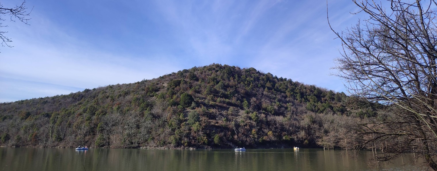 Рогачева и Ко