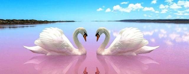 Нина Машинистова