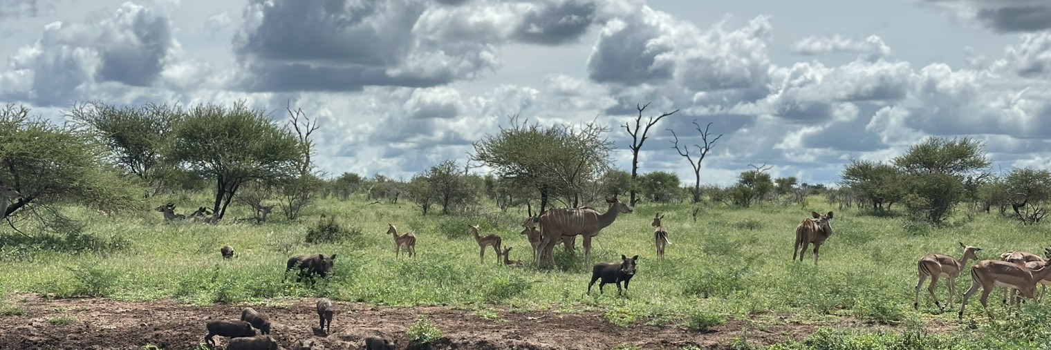 Кошечка Полина😸