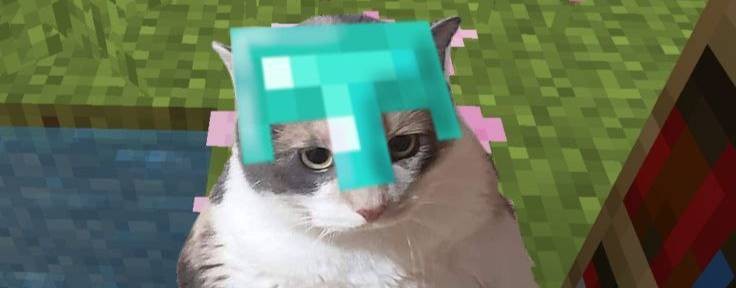 _MOKI_