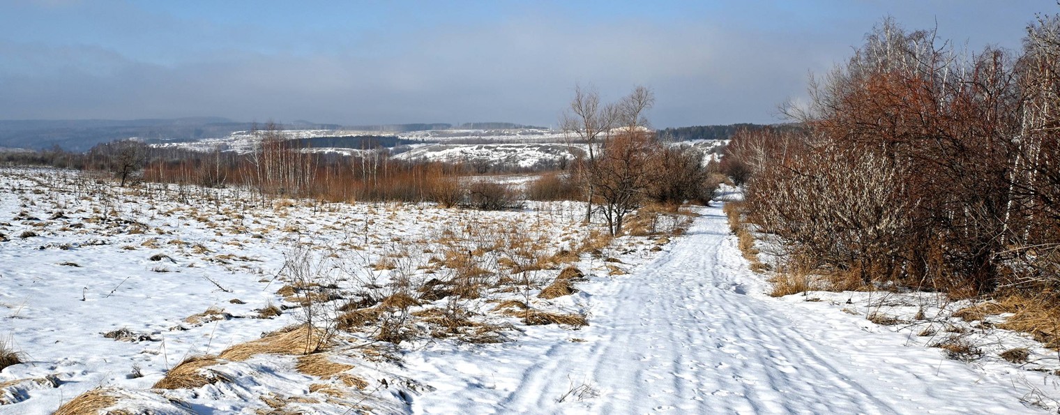 Булка на прогулке