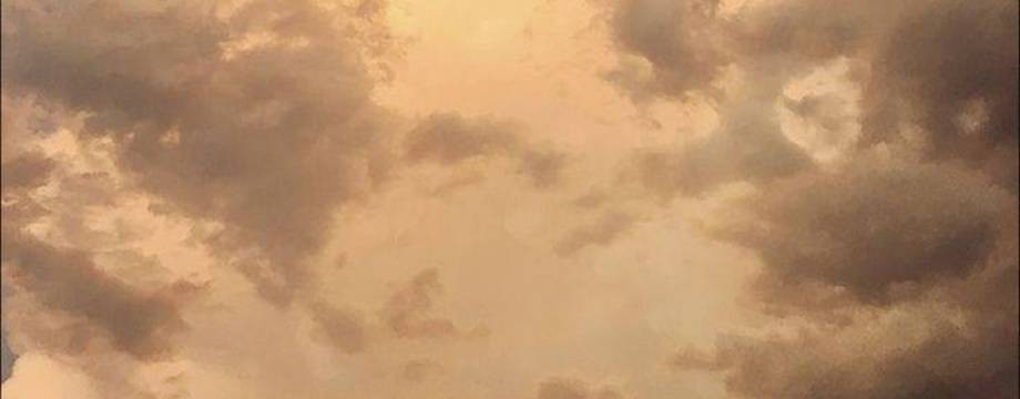 Алёна | Дело в голове