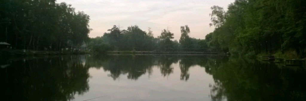 Новости с "СеребрянойЧаши"