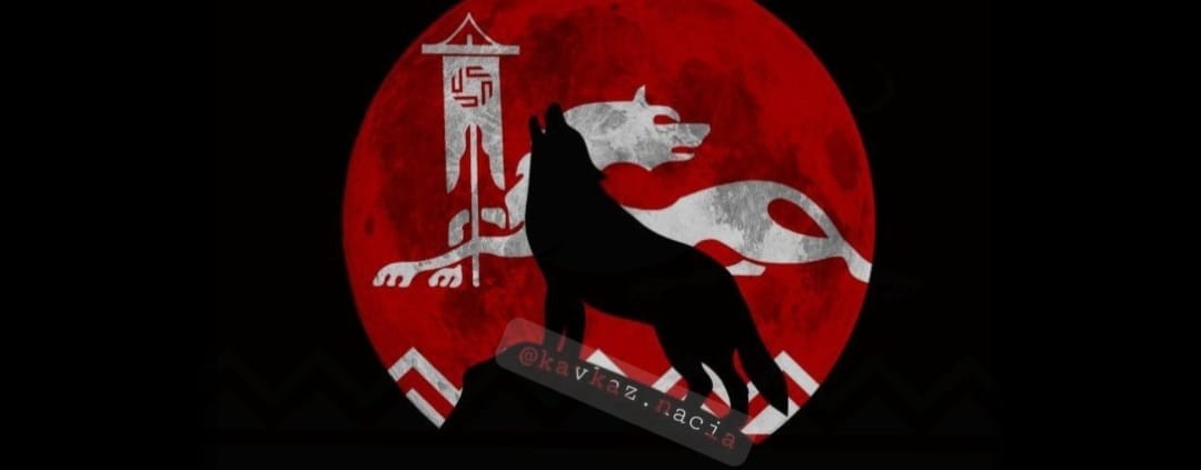 pro tigar