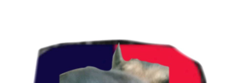 Крутой кабанчик🐗