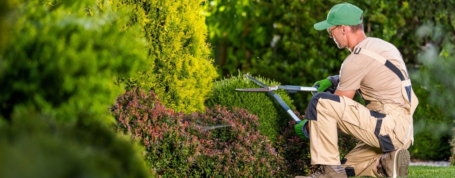 Gardenico