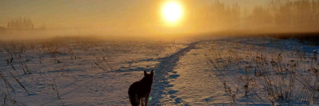 Эссенциальная терапия