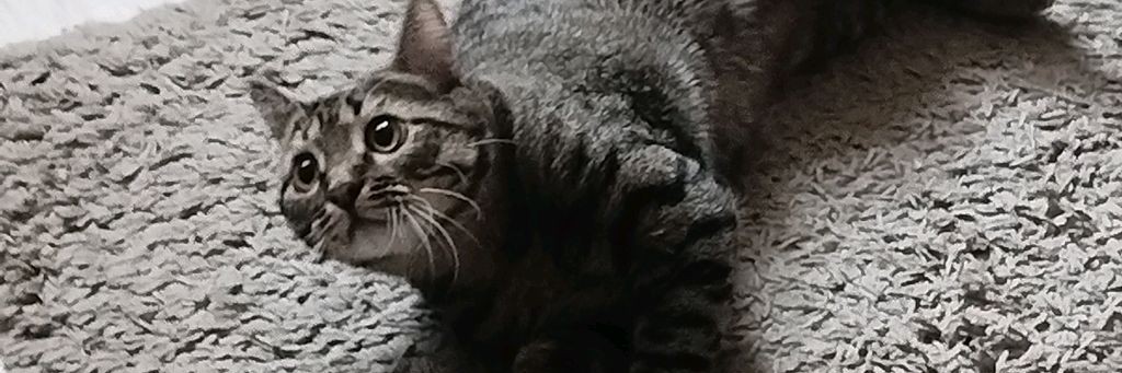 💋❤️🔥АНЮТА ❤️🔥💋