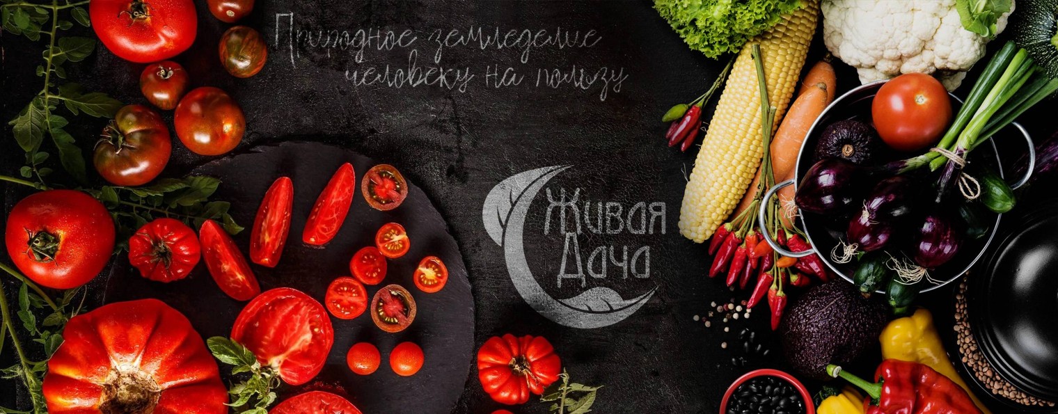 Живая дача