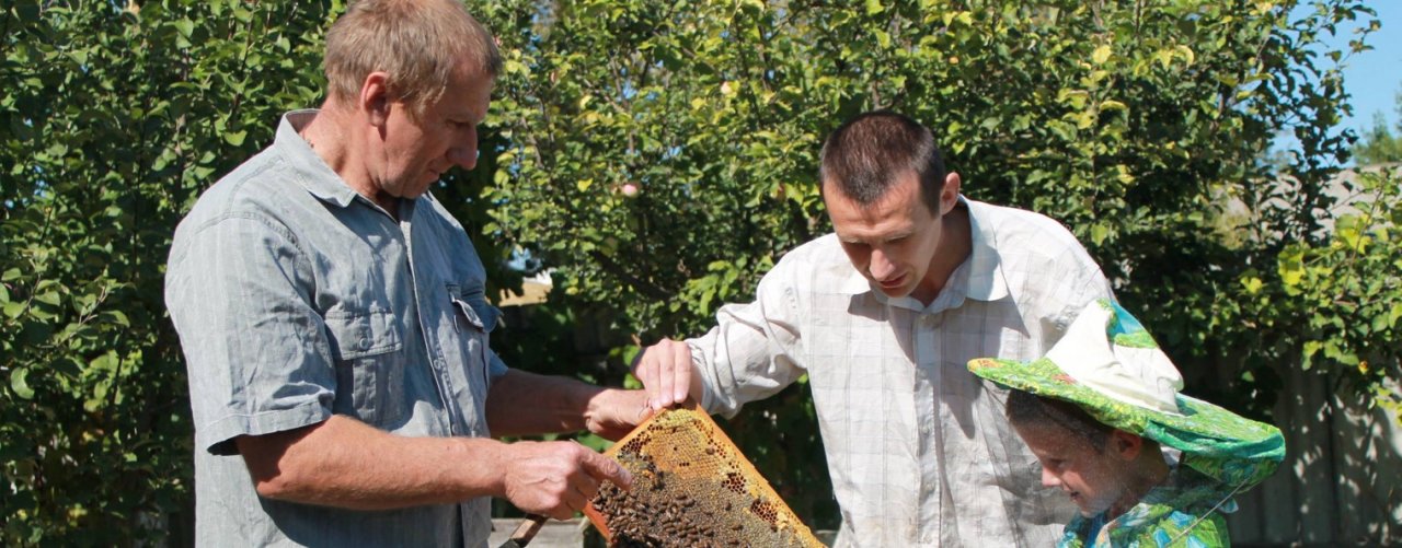 Александр Гузеев. Пасека "Зелёный Клин"
