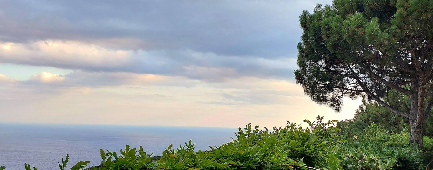 Валентина Рих. Стихи, проза, романсы.