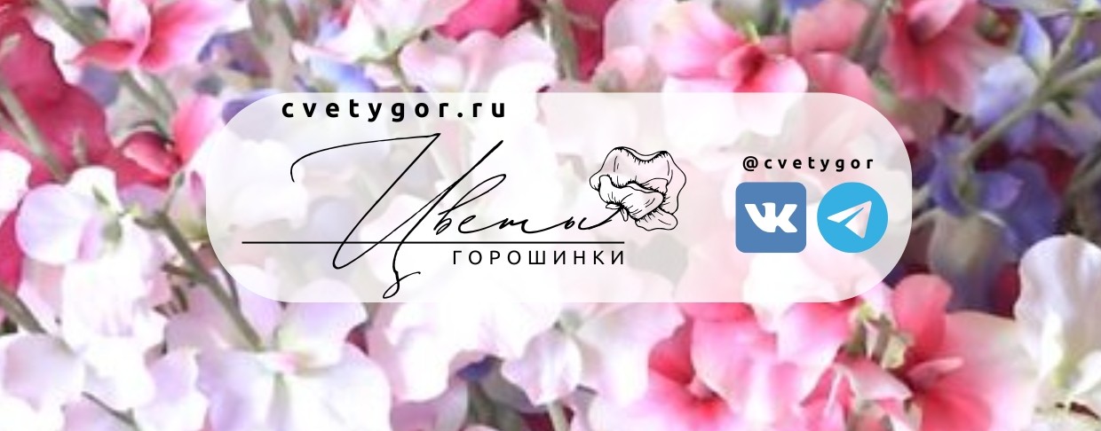 Коты, Цветы и Море г. Севастополь Рассада | Срезка