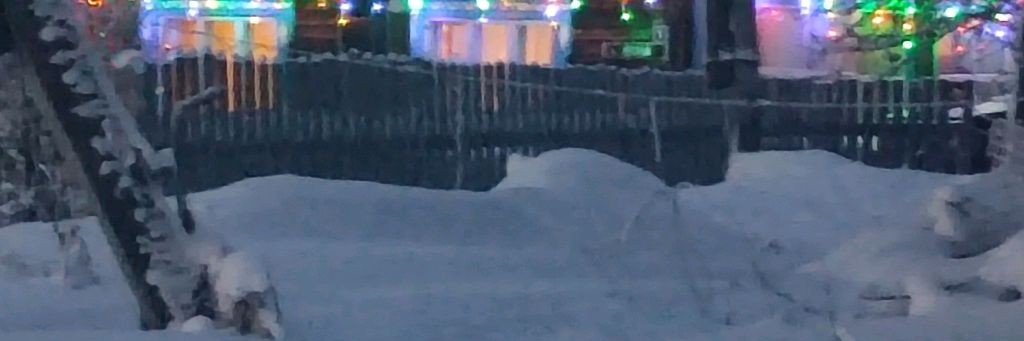 ДОМИК У ЛЕСА