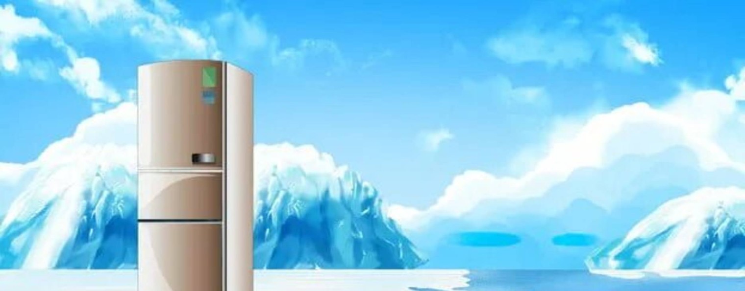 Refrigerator for dummies: Beginner's Instructions