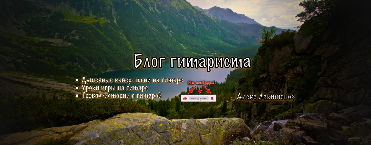 Дикий гитарист / Алекс Лактионов