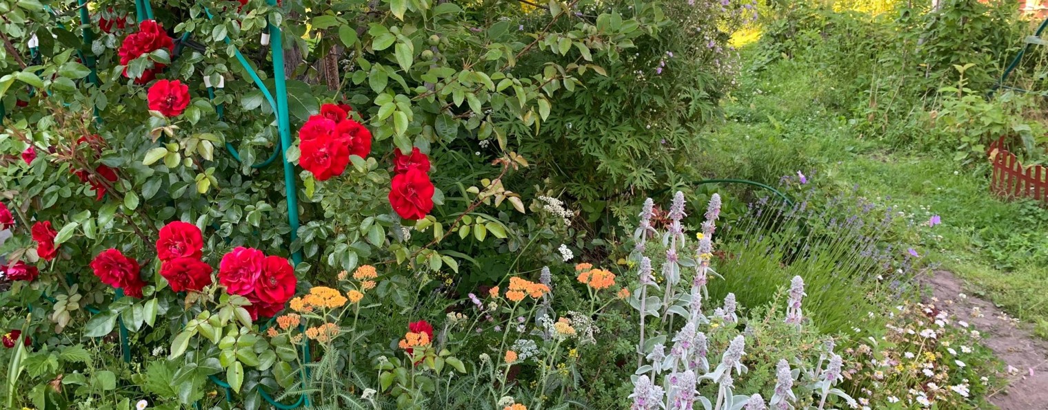 Florlab