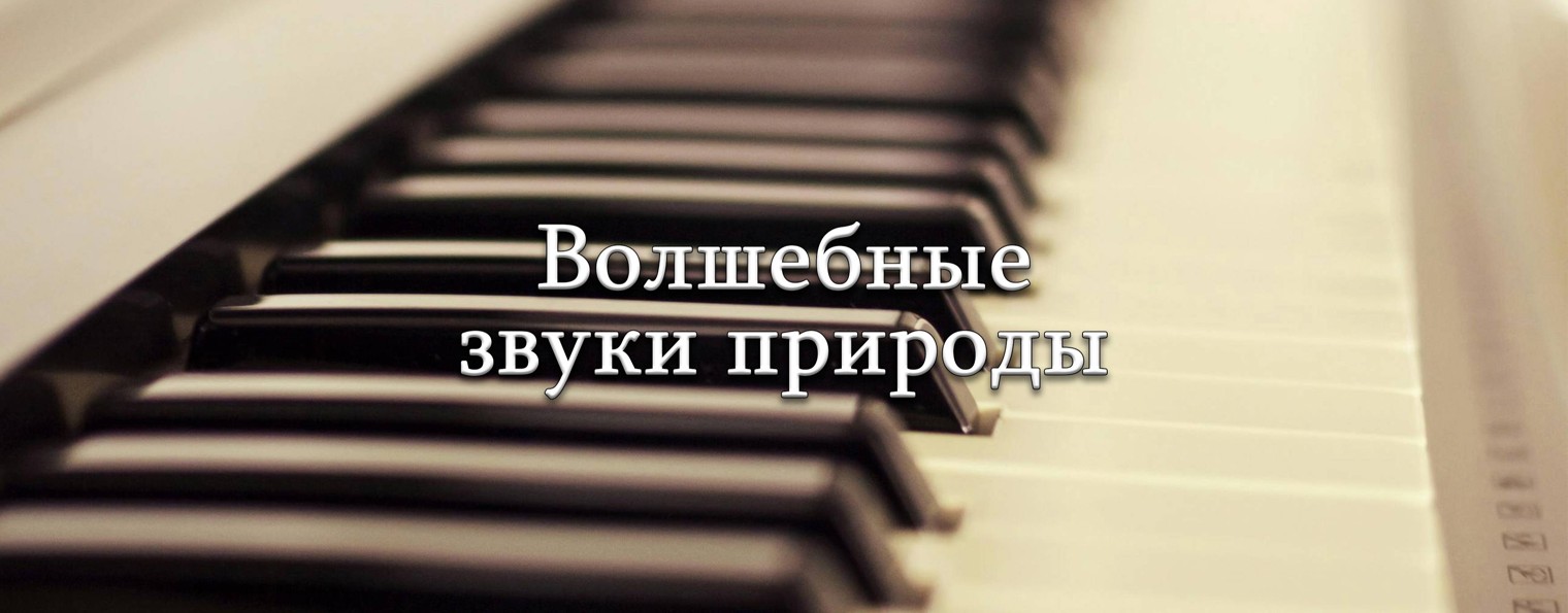 Волшебные звуки природы