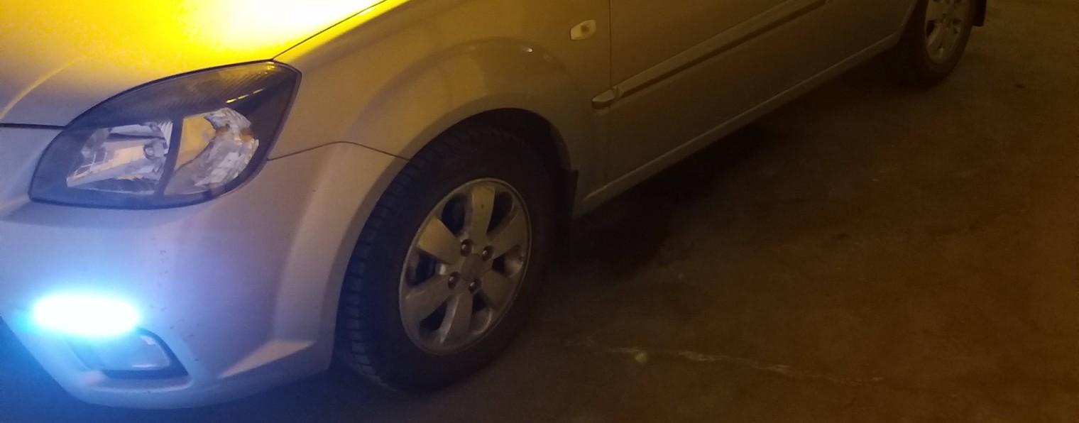 Коровёнок 52к