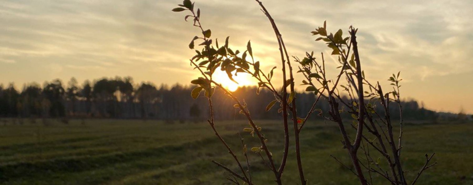 Натали в деревне
