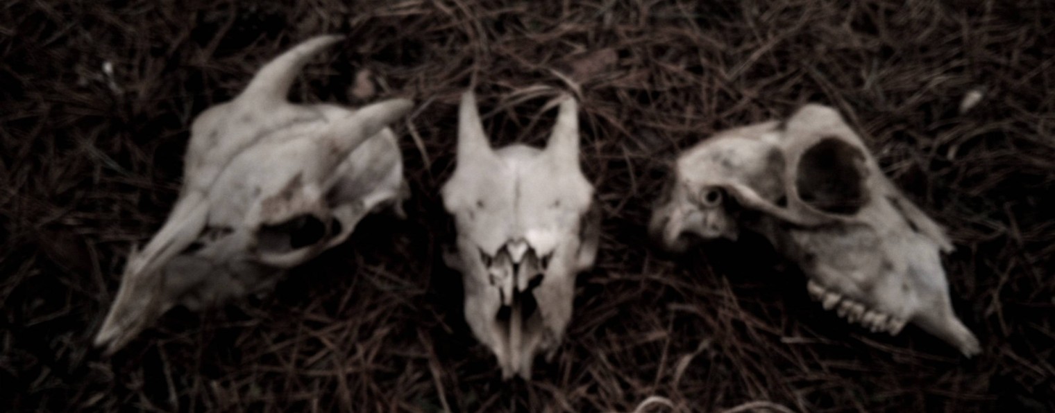 ТРЕКЛЯТЫЙ КОЗЁЛ