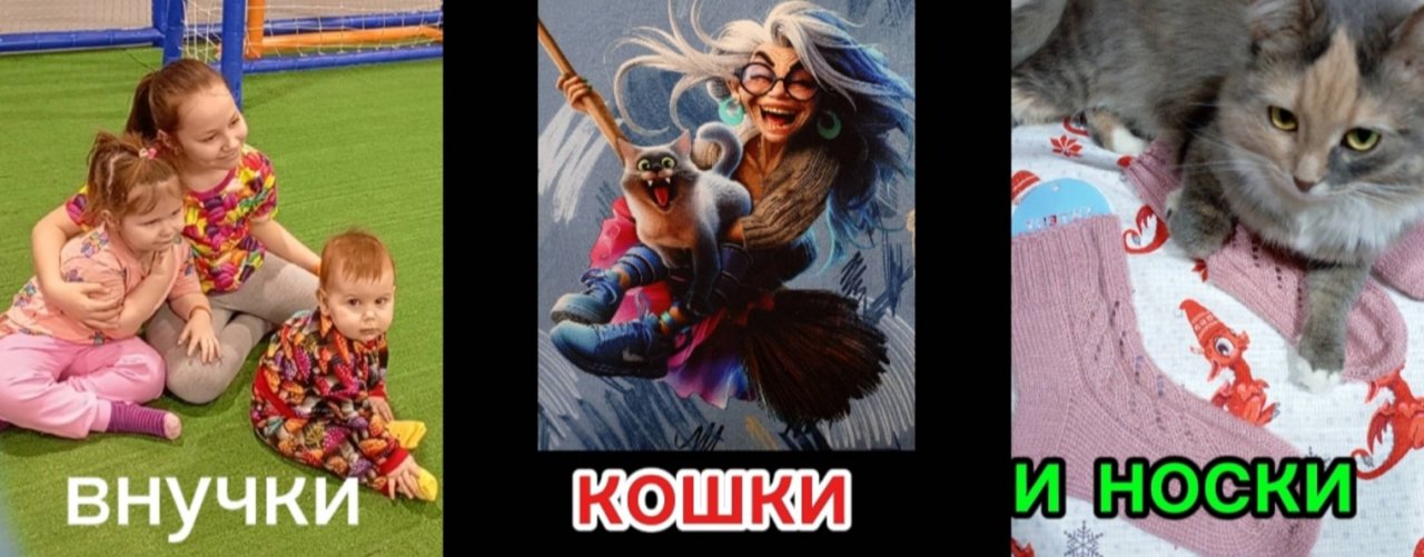 Внучки кошки и носки.