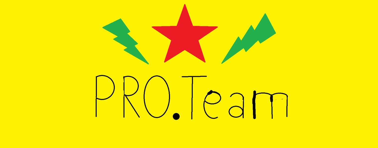 PRO.Team