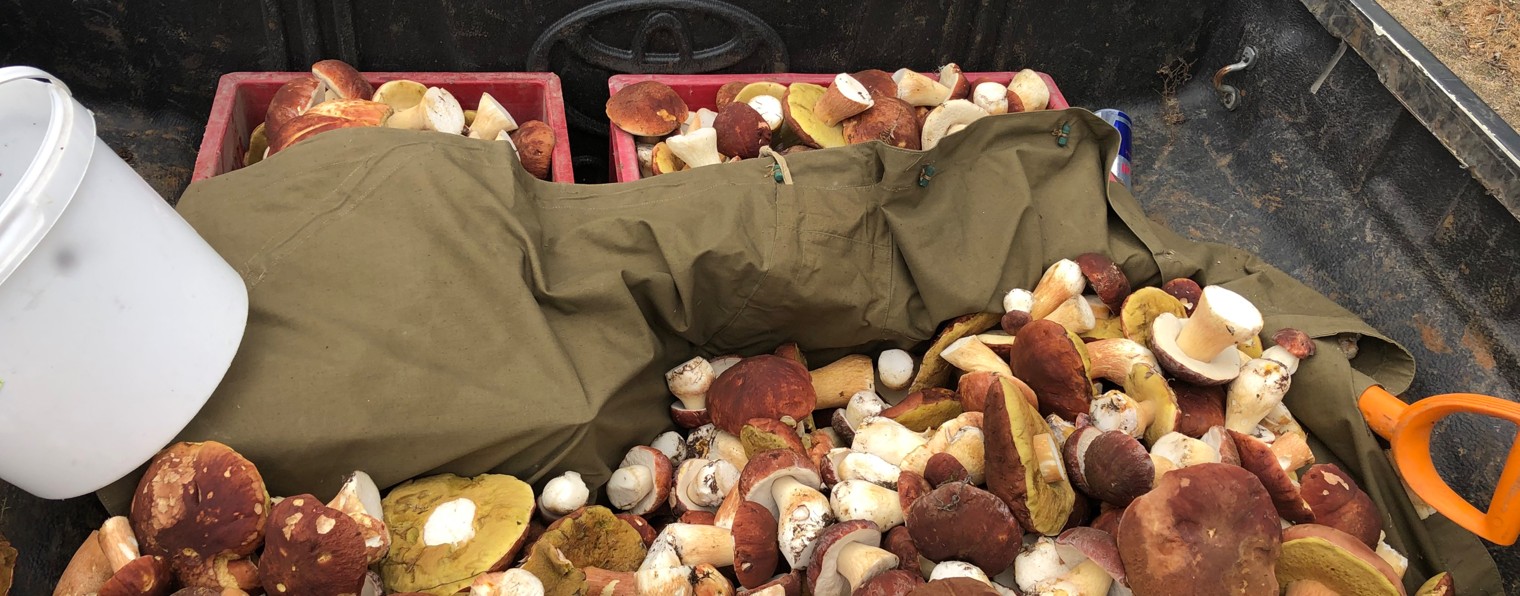 Лопские погосты