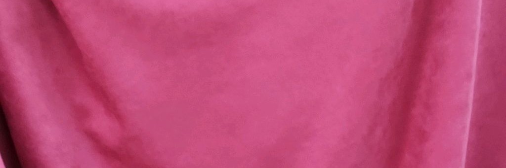 Елена.О жизни и скрипке.