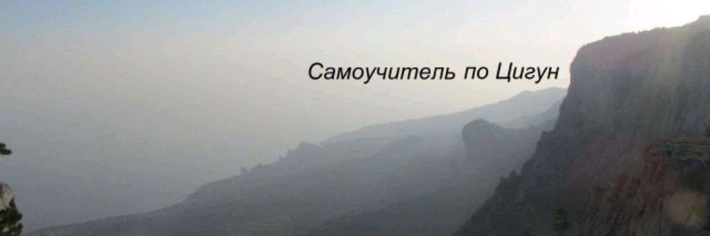 Космический Цигун Владимир Солнцев